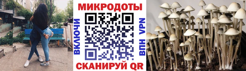 Псилоцибиновые грибы мухоморы Купить Карталы